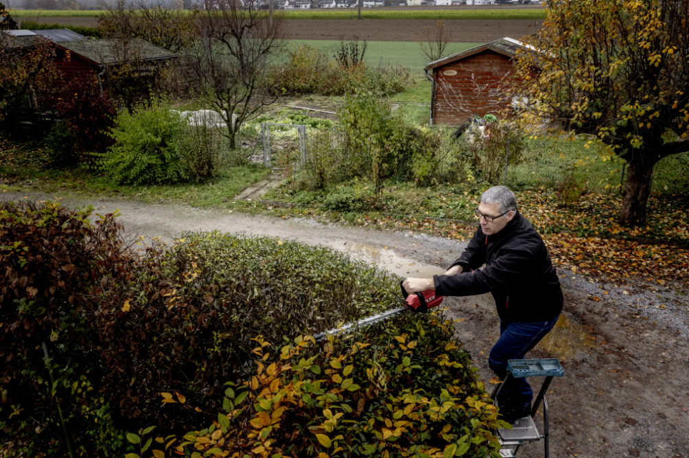 Akku Heckenschere von FLEX